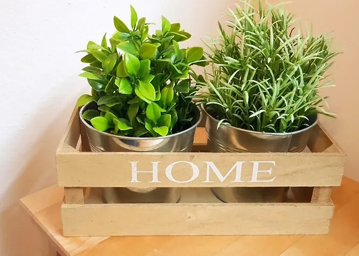 Apartament M.h.s. *
